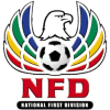 National First Division logo